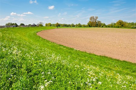 simsearch:400-06142582,k - Protective Dam and Plowed Field in the Netherlands Stock Photo - Budget Royalty-Free & Subscription, Code: 400-06917763