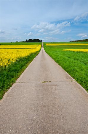 simsearch:400-06918933,k - Asphalt Road between Fields of Lucerne in Germany Photographie de stock - Aubaine LD & Abonnement, Code: 400-06917772