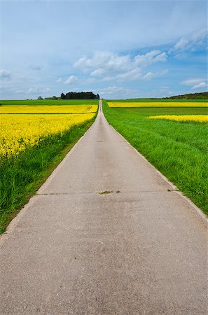 Asphalt Road between Fields of Lucerne in Germany Stock Photo - Budget Royalty-Free & Subscription, Code: 400-06917772