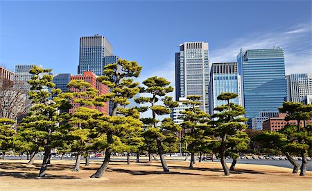 Marunouchi Business District in Tokyo, Japan. Stock Photo - Budget Royalty-Free & Subscription, Code: 400-06918646