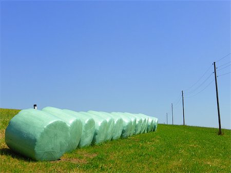 patrickjobst (artist) - Agricultural landscape with hay bales and a power line on a hot summer day Photographie de stock - Aubaine LD & Abonnement, Code: 400-06918855
