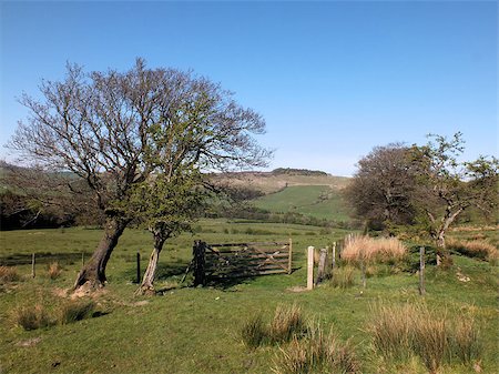 simsearch:400-06919516,k - New Laund Hill (with Birkett Fell in the background) is a part of the Forest of Bowland Area of Outstanding Natural Beauty in Lancashire Stock Photo - Budget Royalty-Free & Subscription, Code: 400-06919082