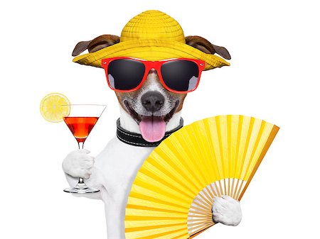 dog fan - summer cocktail dog cooling of with hand fan Stock Photo - Budget Royalty-Free & Subscription, Code: 400-06919439