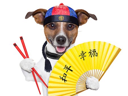 dog fan - asian dog with hand fan and chopsticks Stock Photo - Budget Royalty-Free & Subscription, Code: 400-06919448
