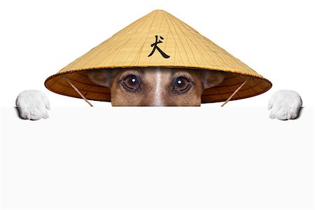 dog fan - asian dog with chinese hat  behind banner Stock Photo - Budget Royalty-Free & Subscription, Code: 400-06919449