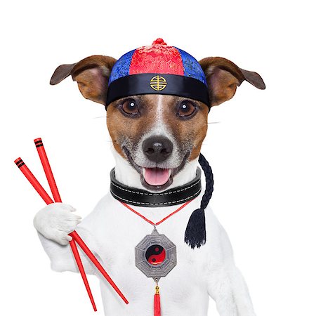 dog fan - asian dog with chopsticks and asian hat Stock Photo - Budget Royalty-Free & Subscription, Code: 400-06919451