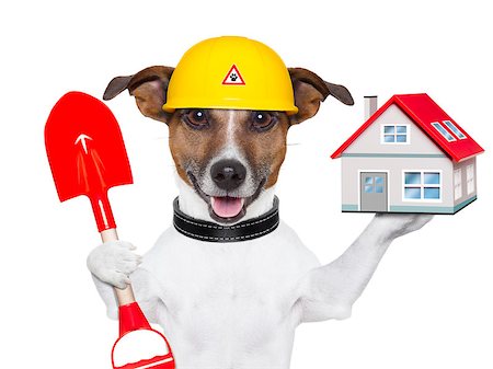 simsearch:400-06855814,k - dog holding a small house and a red shovel Foto de stock - Royalty-Free Super Valor e Assinatura, Número: 400-06919466