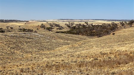 simsearch:400-06558454,k - An image of a beautiful south australian scenery Photographie de stock - Aubaine LD & Abonnement, Code: 400-06919585