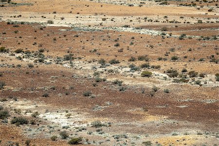 simsearch:400-04975317,k - An image of an australian desert background Fotografie stock - Microstock e Abbonamento, Codice: 400-06919593