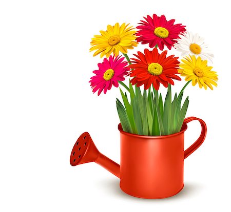 pictures of can and flowers - Fresh summer flowers in orange watering can. Vector illustration. Foto de stock - Super Valor sin royalties y Suscripción, Código: 400-06912251