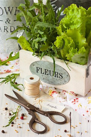 simsearch:400-07578178,k - Fresh kitchen garden herbs, scissors and kitchen twine on a white wooden board. Stock Photo - Budget Royalty-Free & Subscription, Code: 400-06913257
