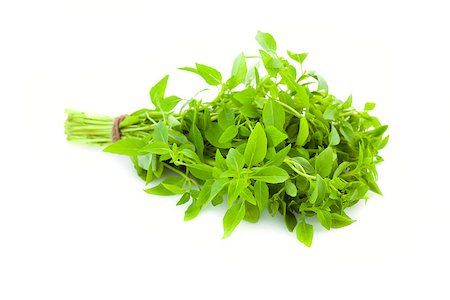 simsearch:400-04418942,k - Bunch of fresh Basil herb /  isolated on white background Stockbilder - Microstock & Abonnement, Bildnummer: 400-06924240