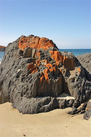 swansea - Lovely Spiky Beach, close to Swansea, Tasmania, Australia Photographie de stock - Aubaine LD & Abonnement, Code: 400-06924838