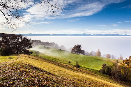 simsearch:400-07255480,k - An image of a nice autumn landscape in Bavaria Germany Stock Photo - Budget Royalty-Free & Subscription, Code: 400-06924936