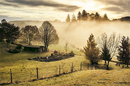 simsearch:400-07255480,k - An image of a nice autumn landscape in Bavaria Germany Stock Photo - Budget Royalty-Free & Subscription, Code: 400-06924937