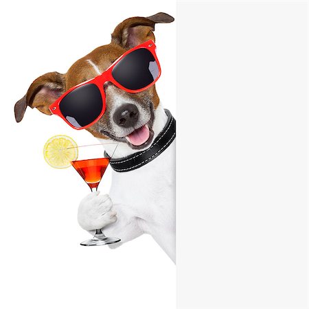 simsearch:400-07822392,k - funny cocktail dog holding a martini glass behind a banner Foto de stock - Super Valor sin royalties y Suscripción, Código: 400-06925046