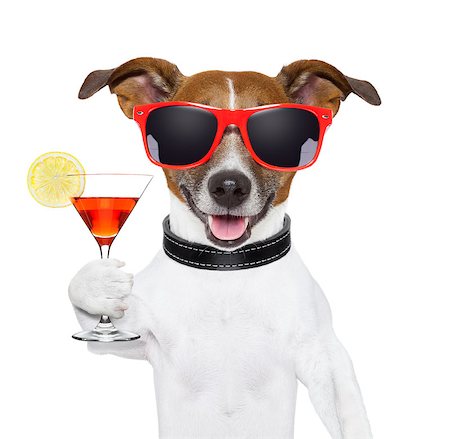 simsearch:400-07822392,k - funny cocktail dog holding a martini glass Foto de stock - Super Valor sin royalties y Suscripción, Código: 400-06925054