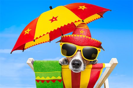 simsearch:400-07576471,k - mexican dog on vacation relaxing on a deck chair under an umbrella Stockbilder - Microstock & Abonnement, Bildnummer: 400-06925063