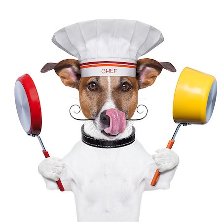 simsearch:400-06927182,k - dog holding colorful a pot and  a pan Stockbilder - Microstock & Abonnement, Bildnummer: 400-06925071