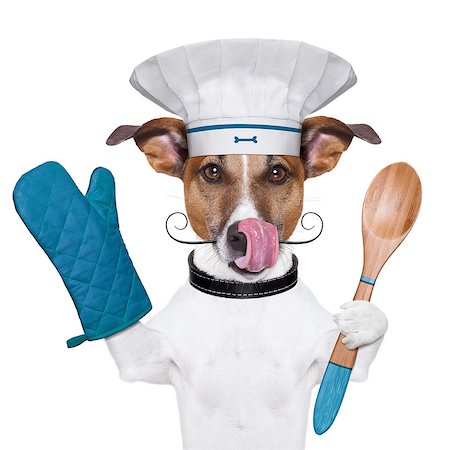 simsearch:400-06927182,k - a cook dog holding an cooking spoon and licking Stockbilder - Microstock & Abonnement, Bildnummer: 400-06925072