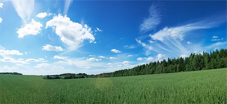 simsearch:400-06918933,k - Panoramic Landscape with Green Field on the Background of Beautiful Clouds and Blue Sky Photographie de stock - Aubaine LD & Abonnement, Code: 400-06925587