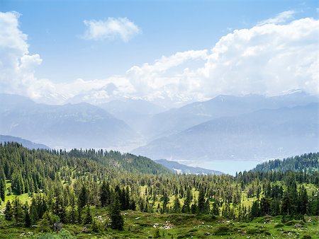 swiss national park - An image of a nice landscape at Beatenberg Switzerland Foto de stock - Super Valor sin royalties y Suscripción, Código: 400-06925692