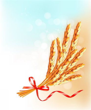 Ears of wheat  with red ribbon. Vector illustration. Stock Photo - Budget Royalty-Free & Subscription, Code: 400-06926648