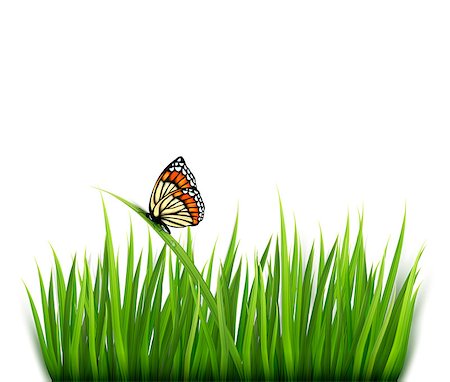 simsearch:400-05270311,k - Nature background with green grass and a butterfly. Vector. Foto de stock - Super Valor sin royalties y Suscripción, Código: 400-06926675