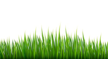 simsearch:400-05270311,k - Nature background with green grass. Vector. Foto de stock - Super Valor sin royalties y Suscripción, Código: 400-06926678