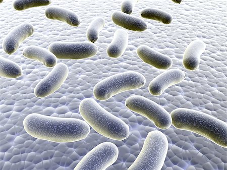 simsearch:400-04337180,k - Colony of pathogen bacteria - 3d render Stock Photo - Budget Royalty-Free & Subscription, Code: 400-06926744