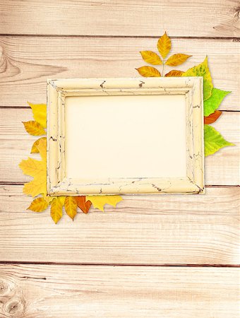 simsearch:400-05735209,k - Grunge background with autumn leaves Stock Photo - Budget Royalty-Free & Subscription, Code: 400-06926762