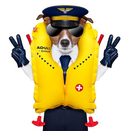 pilot captain dog wearing  emergency life vest with peace fingers Stock Photo - Budget Royalty-Free & Subscription, Code: 400-06927176
