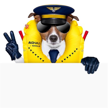 pilot captain dog wearing  emergency life vest behind a placard with peace fingers Stock Photo - Budget Royalty-Free & Subscription, Code: 400-06927173