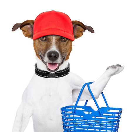 simsearch:400-08735204,k - dog with a shopping basket and a red cap Stock Photo - Budget Royalty-Free & Subscription, Code: 400-06927187
