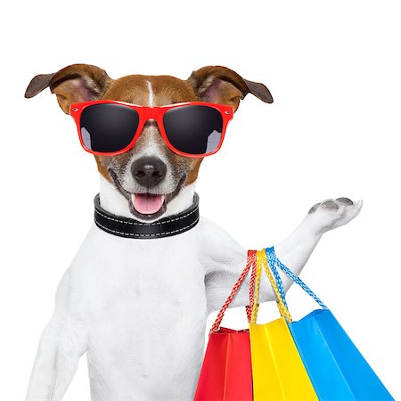 simsearch:400-08151278,k - funny  dog with shopping bags and glasses Photographie de stock - Aubaine LD & Abonnement, Code: 400-06927188
