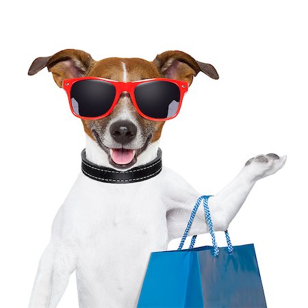 dog christmas background - funny  dog with a big blue shopping bag and glasses Stock Photo - Budget Royalty-Free & Subscription, Code: 400-06927189