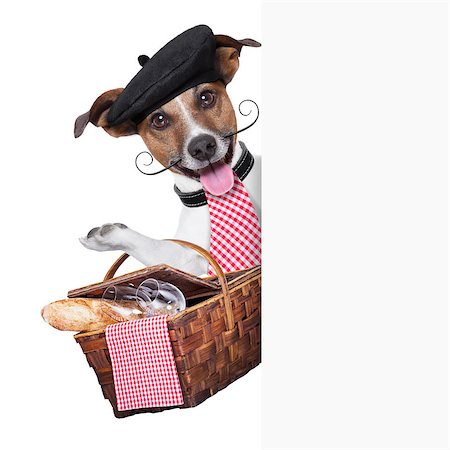simsearch:400-06927182,k - french dog with  Picnic basket behind placard Stockbilder - Microstock & Abonnement, Bildnummer: 400-06927180
