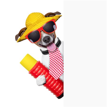 simsearch:400-07055954,k - holiday dog with thermos behind  a placard Stockbilder - Microstock & Abonnement, Bildnummer: 400-06927181