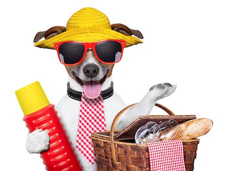 simsearch:400-06927182,k - holiday dog with thermos and basket ready for picnic Stockbilder - Microstock & Abonnement, Bildnummer: 400-06927183