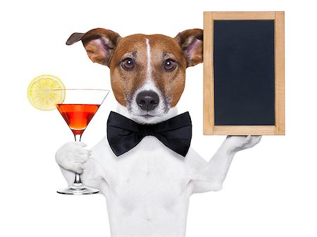 simsearch:400-06927182,k - funny dog with a cocktail holding a   blank blackboard Stockbilder - Microstock & Abonnement, Bildnummer: 400-06927194