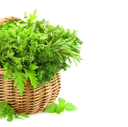 Collection of Fresh Spicy Herbs in Basket / isolated on white / thyme, basil, oregano, parsley, marjoram, rucola, sage and rosemary herbs / Vertical composition Stockbilder - Microstock & Abonnement, Bildnummer: 400-06927374