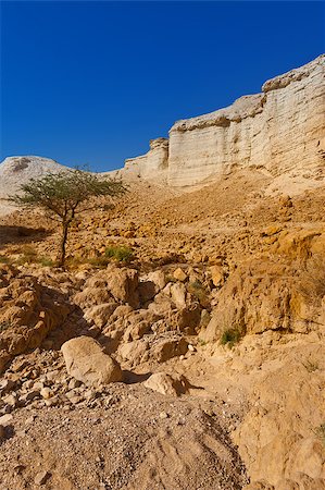 simsearch:400-06480178,k - Canyon in the Judean Desert on the West Bank Stock Photo - Budget Royalty-Free & Subscription, Code: 400-06928357