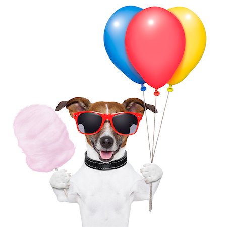 dog  with bunch  of balloons and cotton candy and shades Stock Photo - Budget Royalty-Free & Subscription, Code: 400-06928397