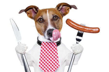 dog knife and fork - hungry dog with sausage  for dinner Stock Photo - Budget Royalty-Free & Subscription, Code: 400-06928410