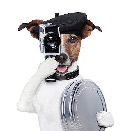 filmproduzent (männlich und weiblich) - movie director dog with a vintage camera Stockbilder - Microstock & Abonnement, Bildnummer: 400-06928420