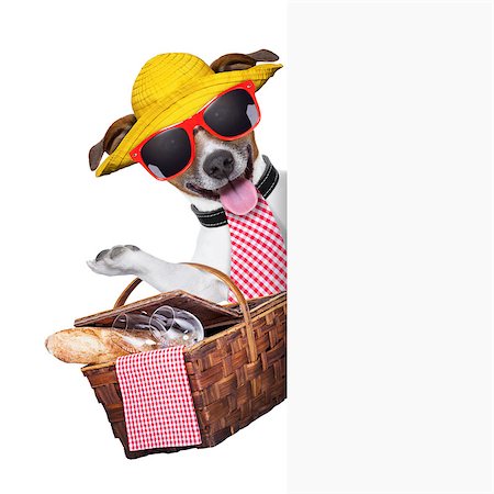 simsearch:400-08899981,k - picnic dog behind placard with basket and bread Foto de stock - Super Valor sin royalties y Suscripción, Código: 400-06928423