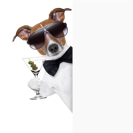 funny cocktail images - dog toasting with martini glass behind a blank placard banner Stock Photo - Budget Royalty-Free & Subscription, Code: 400-06928436