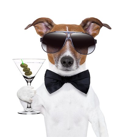 simsearch:400-07822392,k - party dog toasting with a martini glass with olives Foto de stock - Super Valor sin royalties y Suscripción, Código: 400-06928437