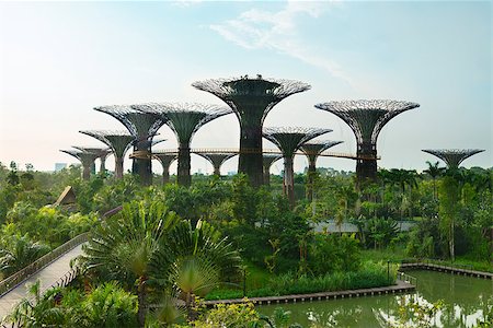 Gardens by the Bay, Singapore with artificial supertree grove as a vertical gardens. Photographie de stock - Aubaine LD & Abonnement, Code: 400-06928555