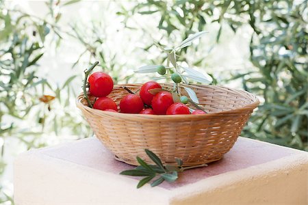 Basket of red tomatoes with olive tree branch on background Stock Photo - Budget Royalty-Free & Subscription, Code: 400-06928933